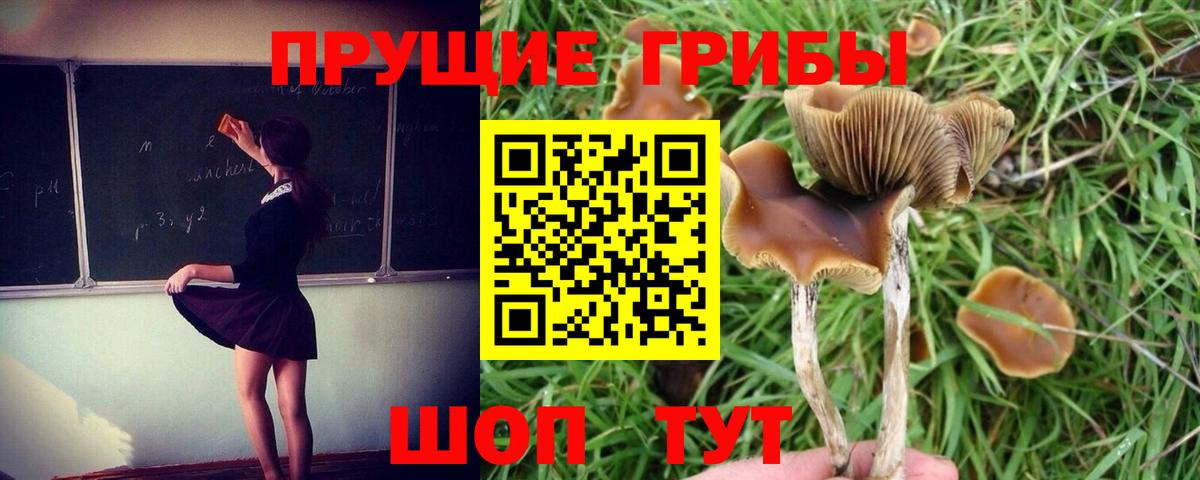 Псилоцибиновые грибы мухоморы Бахчисарай