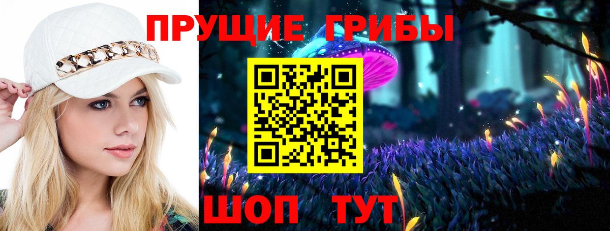 Галлюциногенные грибы Psilocybine cubensis  Галлюциногенные грибы мухоморы  Вход с VPN  Бахчисарай 